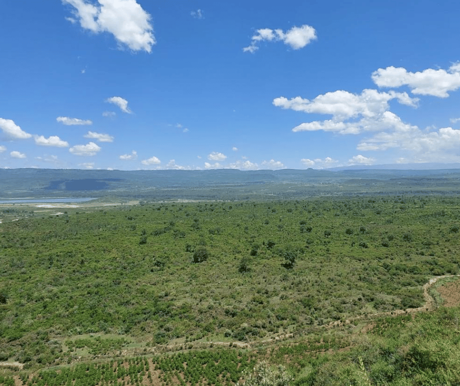 Naivasha heights photos