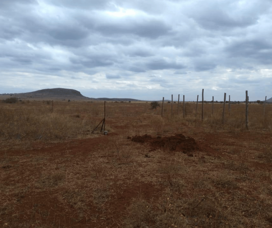 EMALI PHASE 2 photos