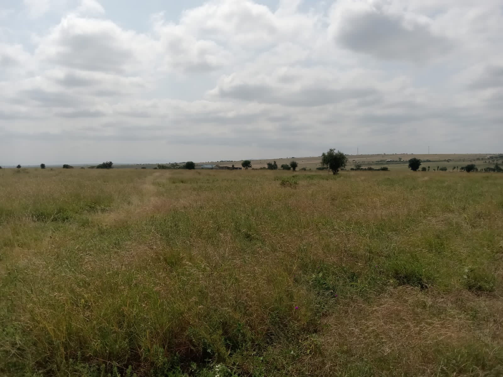 Konza photos