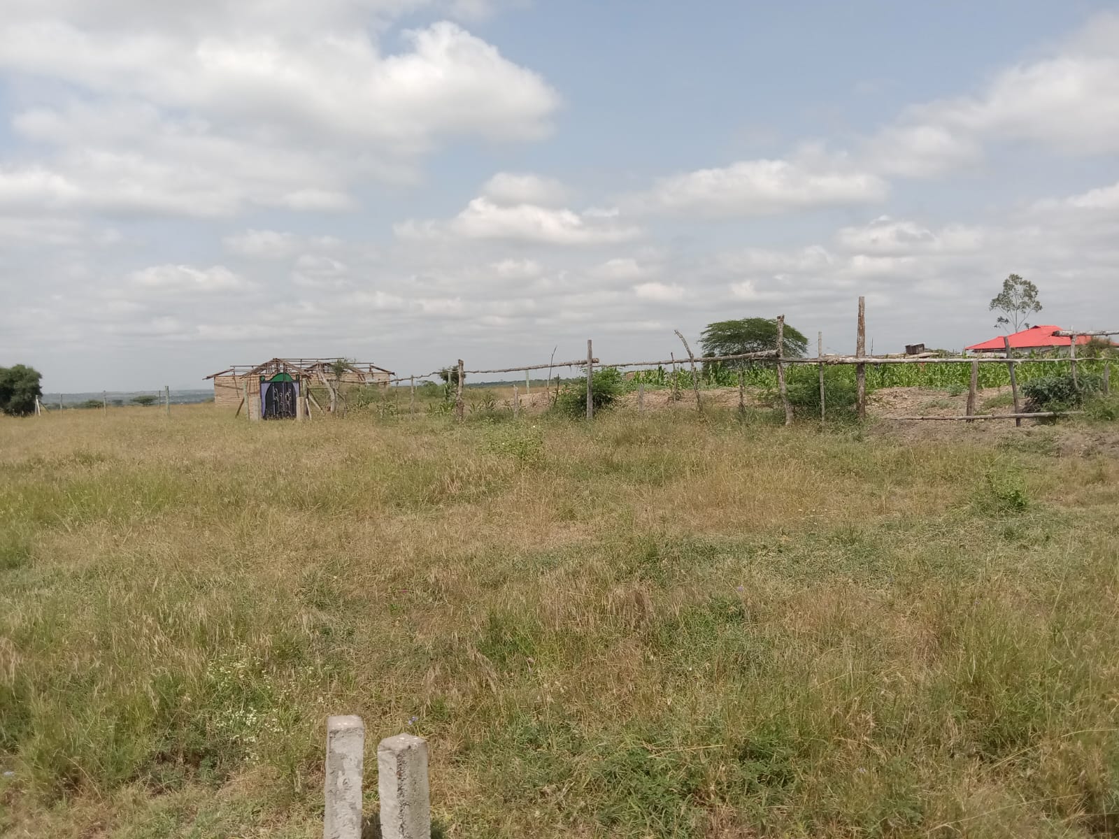 KONZA ... photos