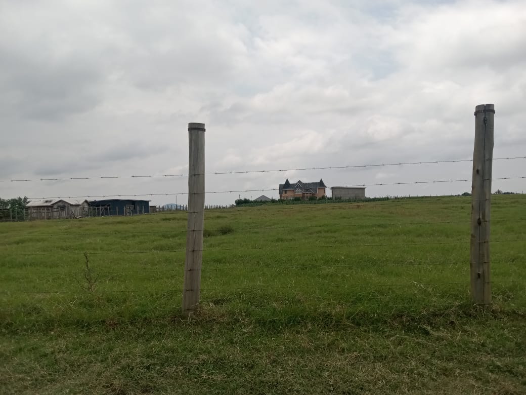 Abedare phase 1 photos