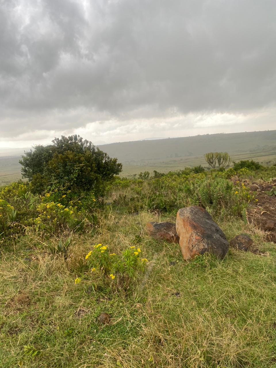 Mt. Kenya photos