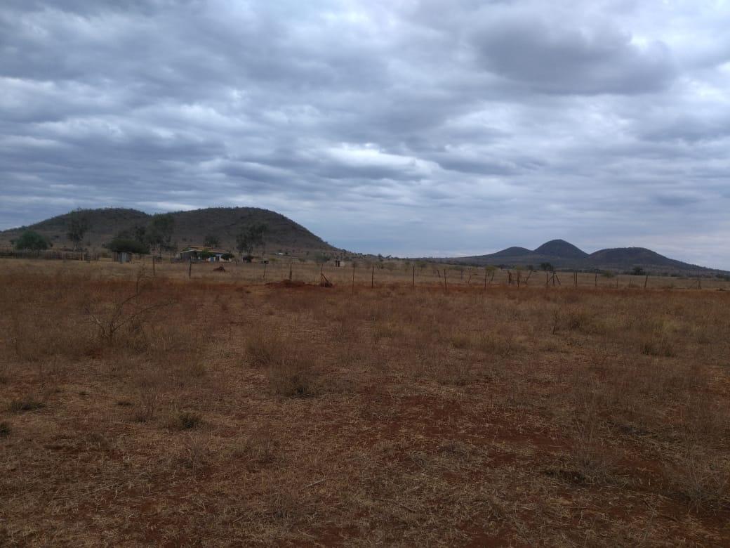 EMALI PHASE 1 photos