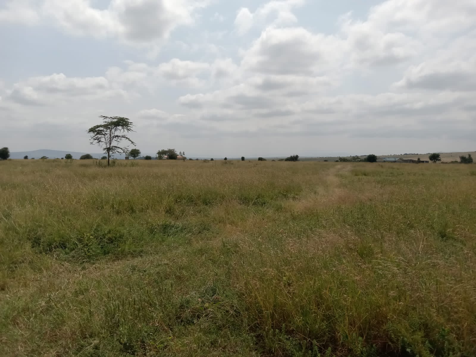 Nakuru Rongai Kabarak photos