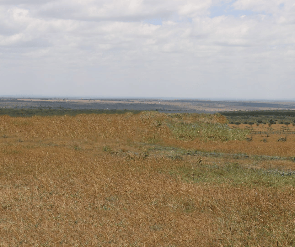 Naivasha heights photos