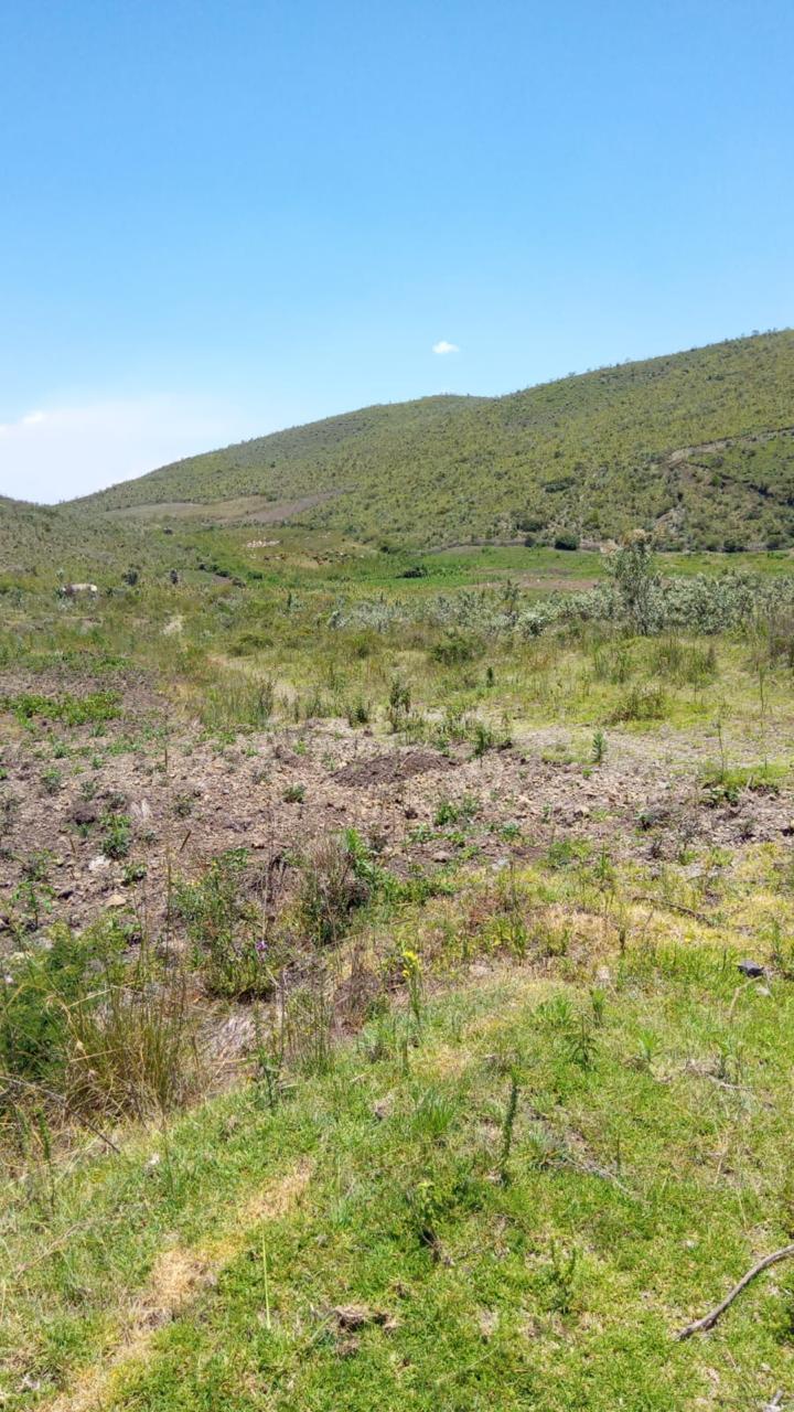 NAIVASHA HEIGHTS photos